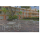 Hotel Howard Johnson by Wyndham Tropical Palms Kissimmee