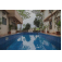 Hotel Par-X Mist View 9B - 4BHK Villa & Private Pool