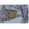 Hotel Rosie | Design | Chalet