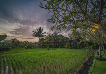 Hotel Bliss Ubud Luxury Villa