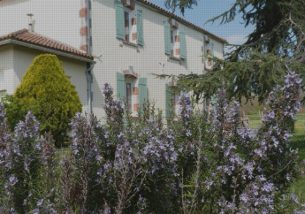 Hotel Chambres d'hôtes Le Cartounier