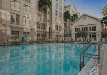 Hotel Homewood Suites by Hilton Orlando-Intl Drive/Convention Ctr