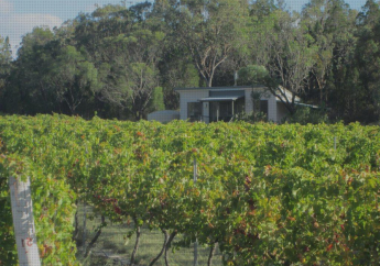 Hotel Just Red Wines Cabins