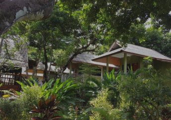 Hotel Khao Sok Jungle Huts Resort