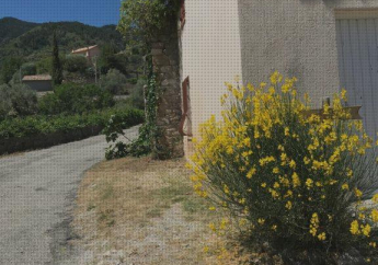 Hotel La Ferme des Cailletiers